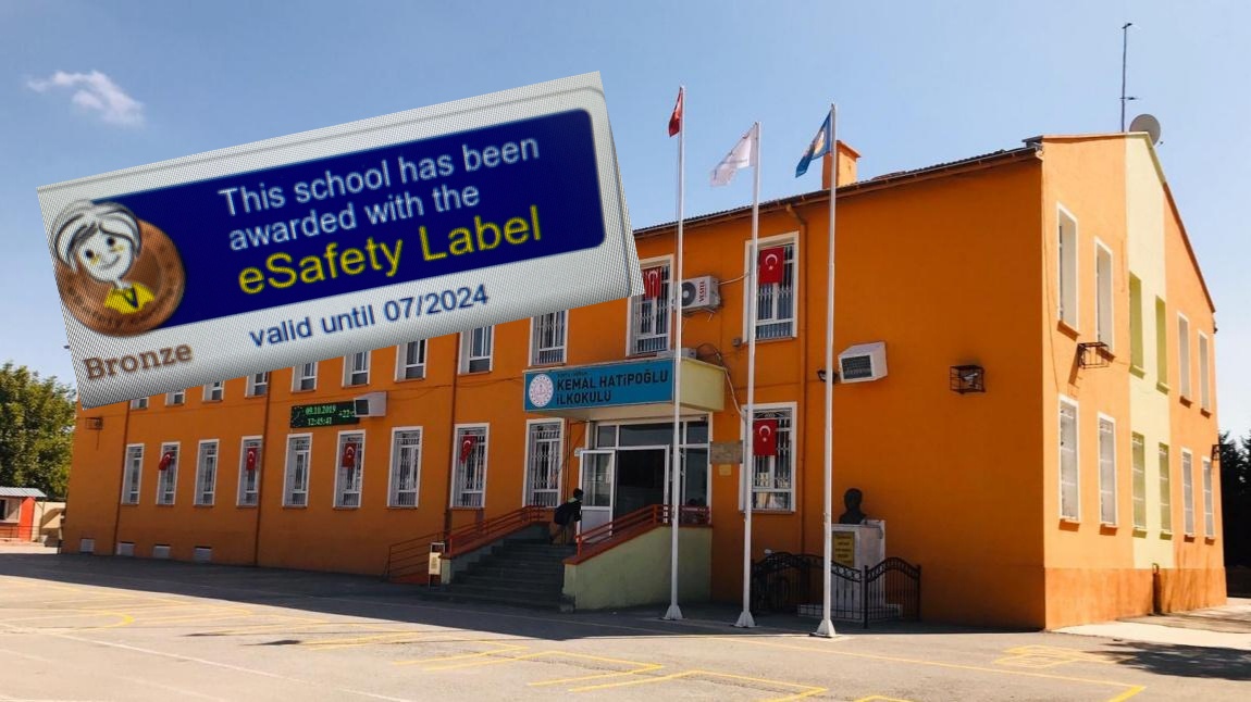 E-safety Bronze Label Etiketi aldık